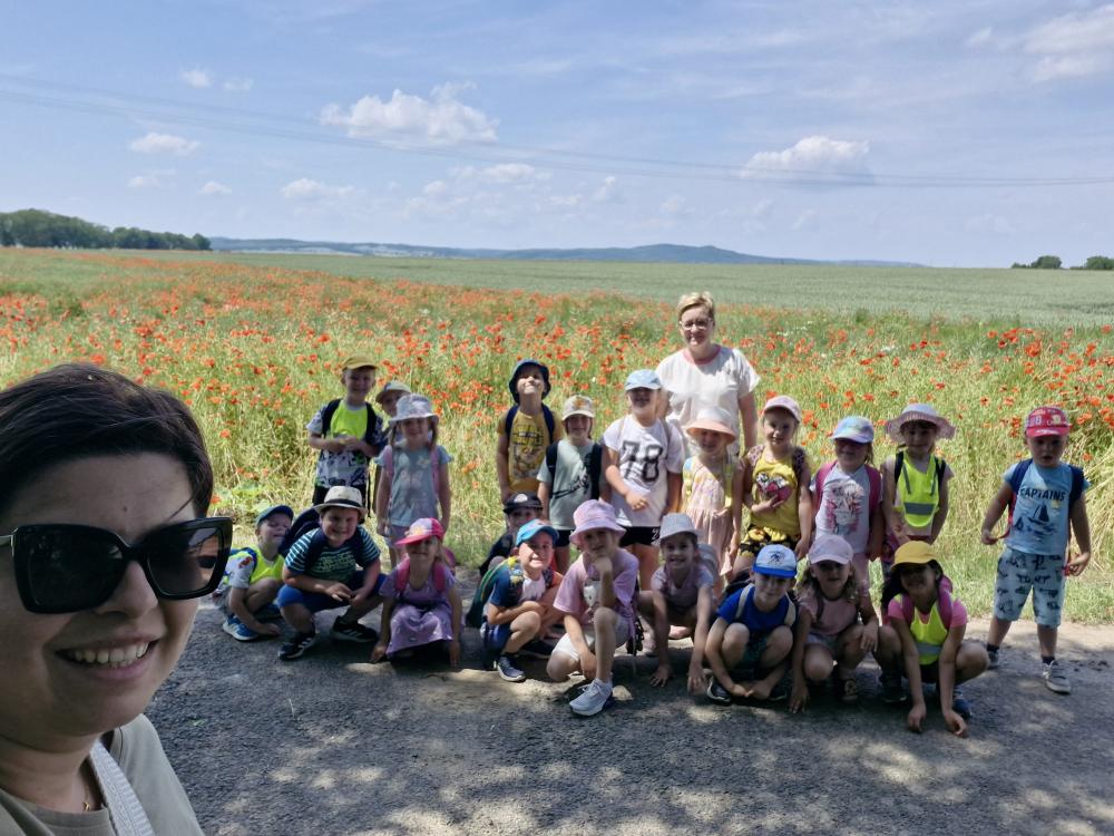 Lody, lody dla ochłody